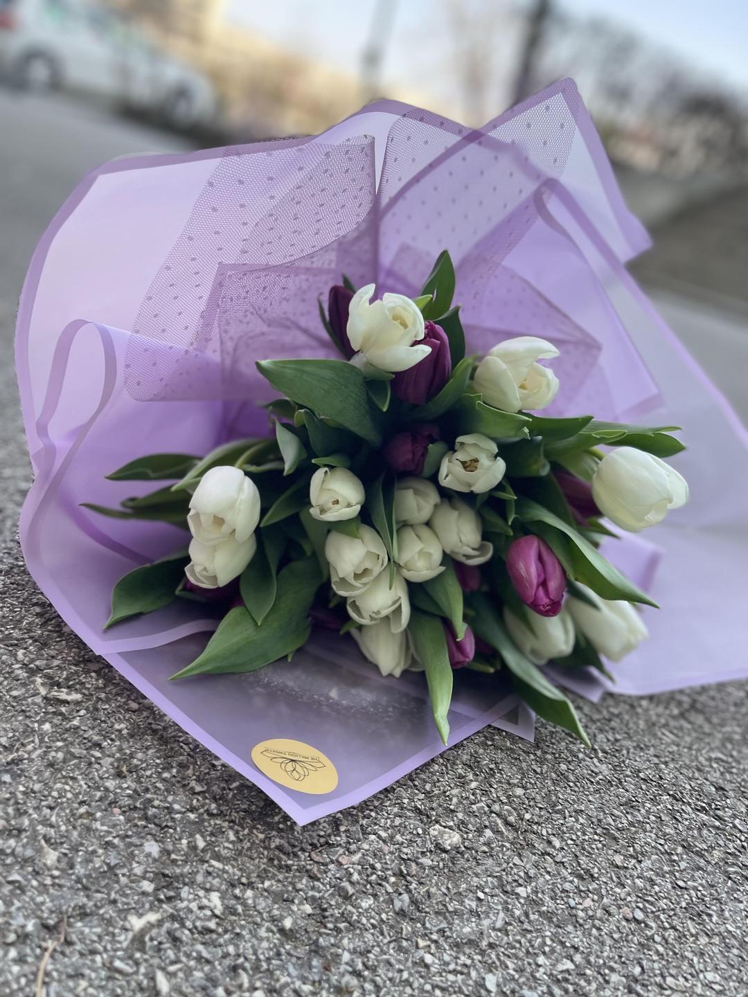 20 TULIPANA